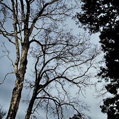 SXD RXY & SHADOWSPELL9 ILL BE FINE [prod.puhf]