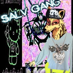 salv the dog - i'm goofy (bladee cover)