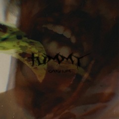Tummy (PROD.MADXDAMN)