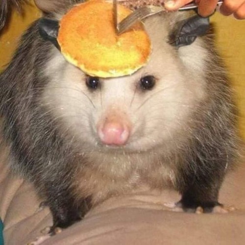 tough luck biggirrl ;P