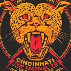 Die wilde 13 (Techno-Set)