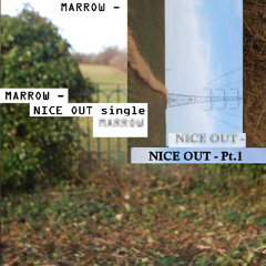 NICE OUT - PT.1