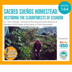 Sacred Sueños Project: Restoring the Cloudforests of Ecuador