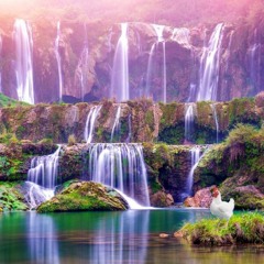 Wreck Of Eddy Fitz [PART ONE]