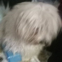 prod by Matthew Jacquez