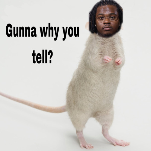 gunna why you tell?