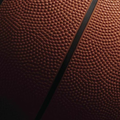 Basket Bool