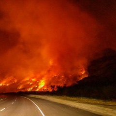 Humboldt Supes Briefed On Fire Insurance, Hemp Legislation