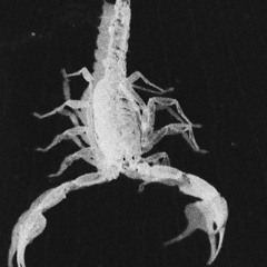 SCORPION  (demo)