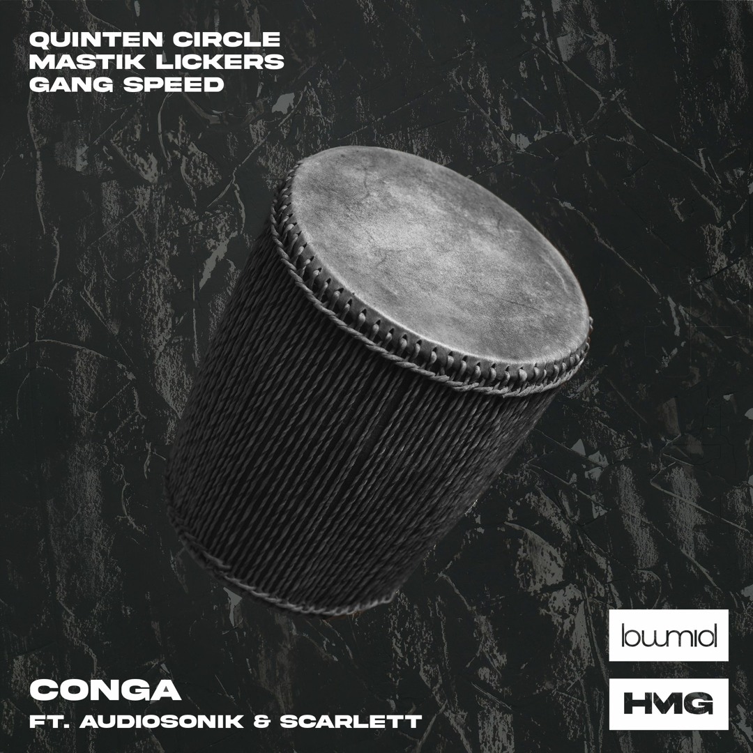 Used Cosmic Percussion Conga Pair with Stand