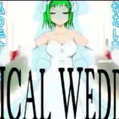 Medical Wedding [low quality]