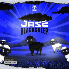 JASE - BLACKSHEEP (FD)