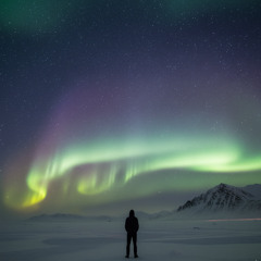 AURORA BY KIWIKO