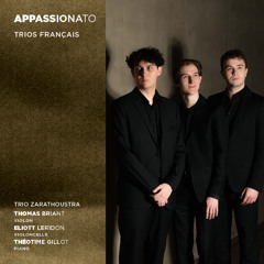Gabriel FAURE : Trio avec piano op. 120 : I. Allegro, ma non troppo