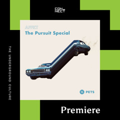 PREMIERE: AFFKT - Krat [Pets Recordings]