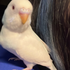 21''