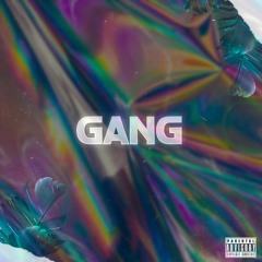 Silva - Gang