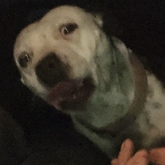 FinishedTokingincare.m4a