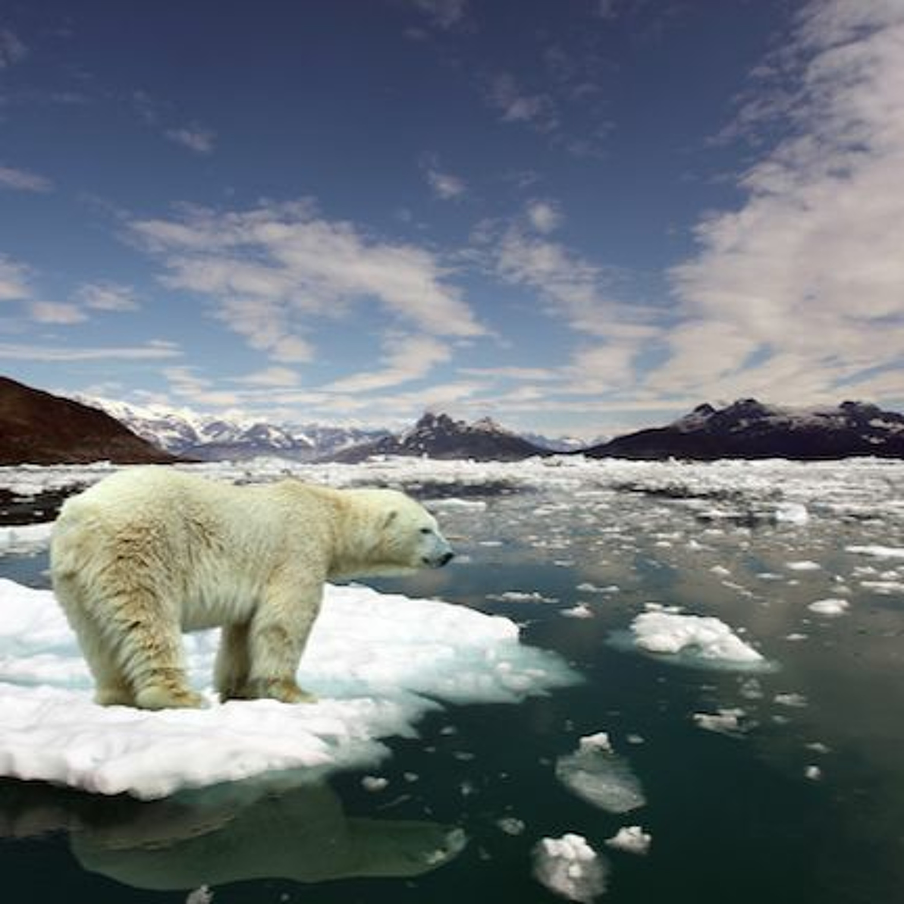 Guilty! 100 Corporations are Responsible for 71% of Climate Change Emissions