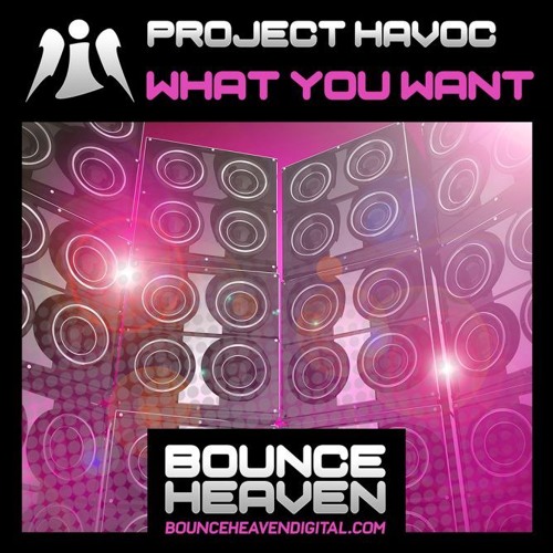 PROJECT HAVOC - WHAT YOU WANT (OUT NOW !!!!!)