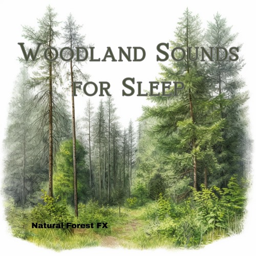 Stream Natural Forest FX | Listen to Woodland Sounds for Sleep playlist ...