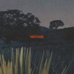 HOSTAGE - Cayman Rhodes (LANDØ Remix)