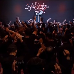 باب الهدى الضامن  | حيدر البياتي 1446 هـ