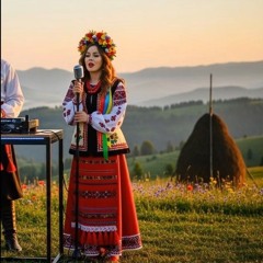 При долині кущ калини -  DJHaydamaka.mp3