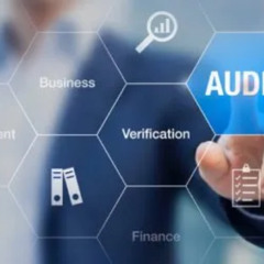 Cyber Security Audits