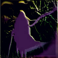 Crow's Call (instrumental)