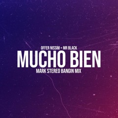 Mucho Bien - Mark Stereo Bangin Mix