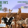 Clare FM's Farm Focus - 19th Sept Clare FM's Farm Focus - 19th Sept