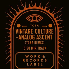 Vintage Culture  - Analog ascent  (Intro - Extend)  (Toba Remix)