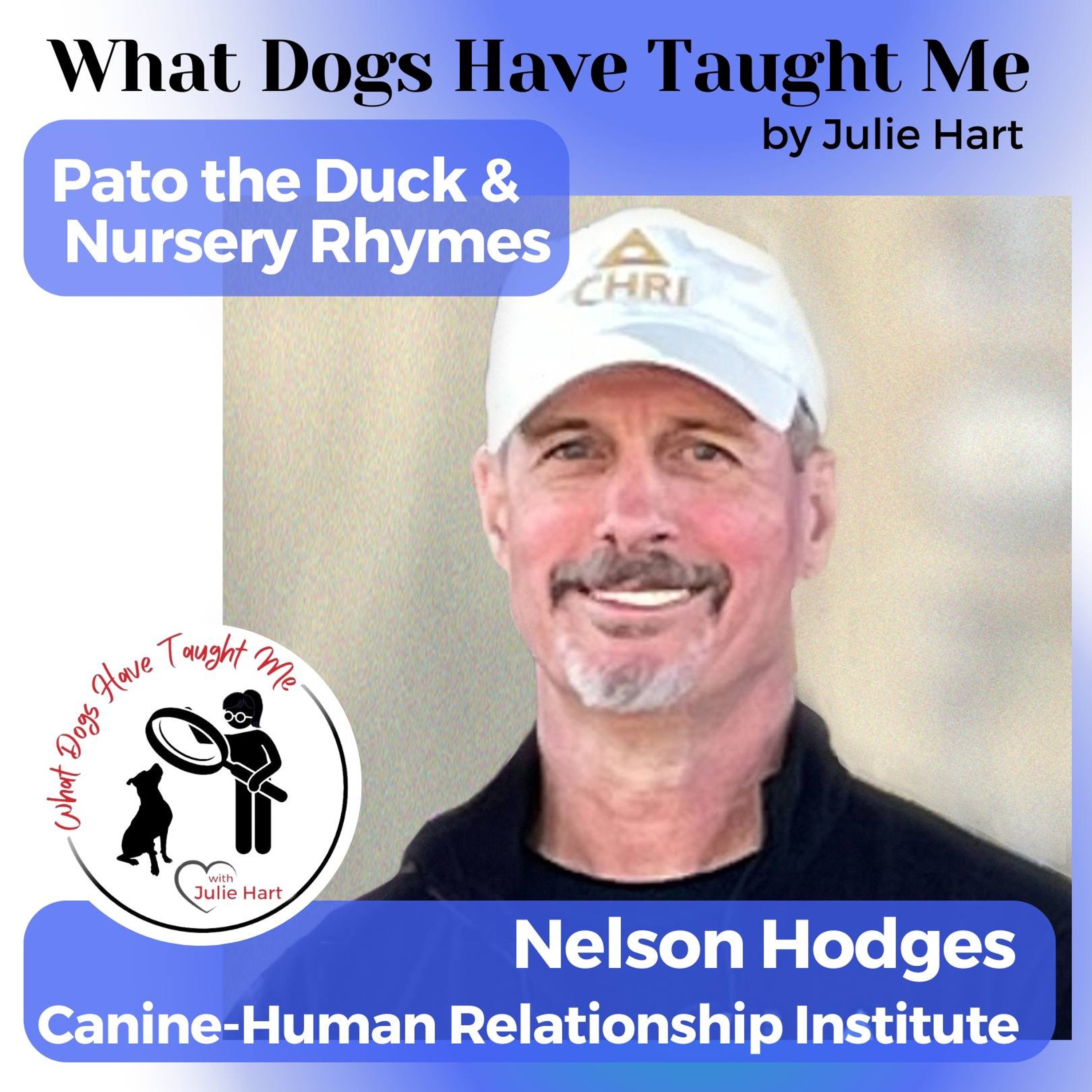 What Dogs Have Taught Me