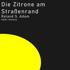 Die Zitrone Am Straßenrand (30HZ Edit) - Roland S. Adam