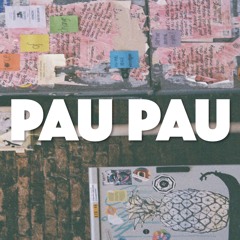 PAU PAU - Funkmix