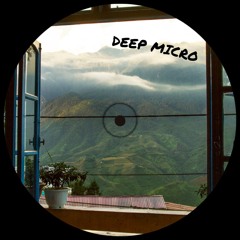 Deep Micro