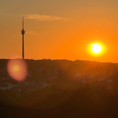 Auf meinem Weg zur Erkenntnis