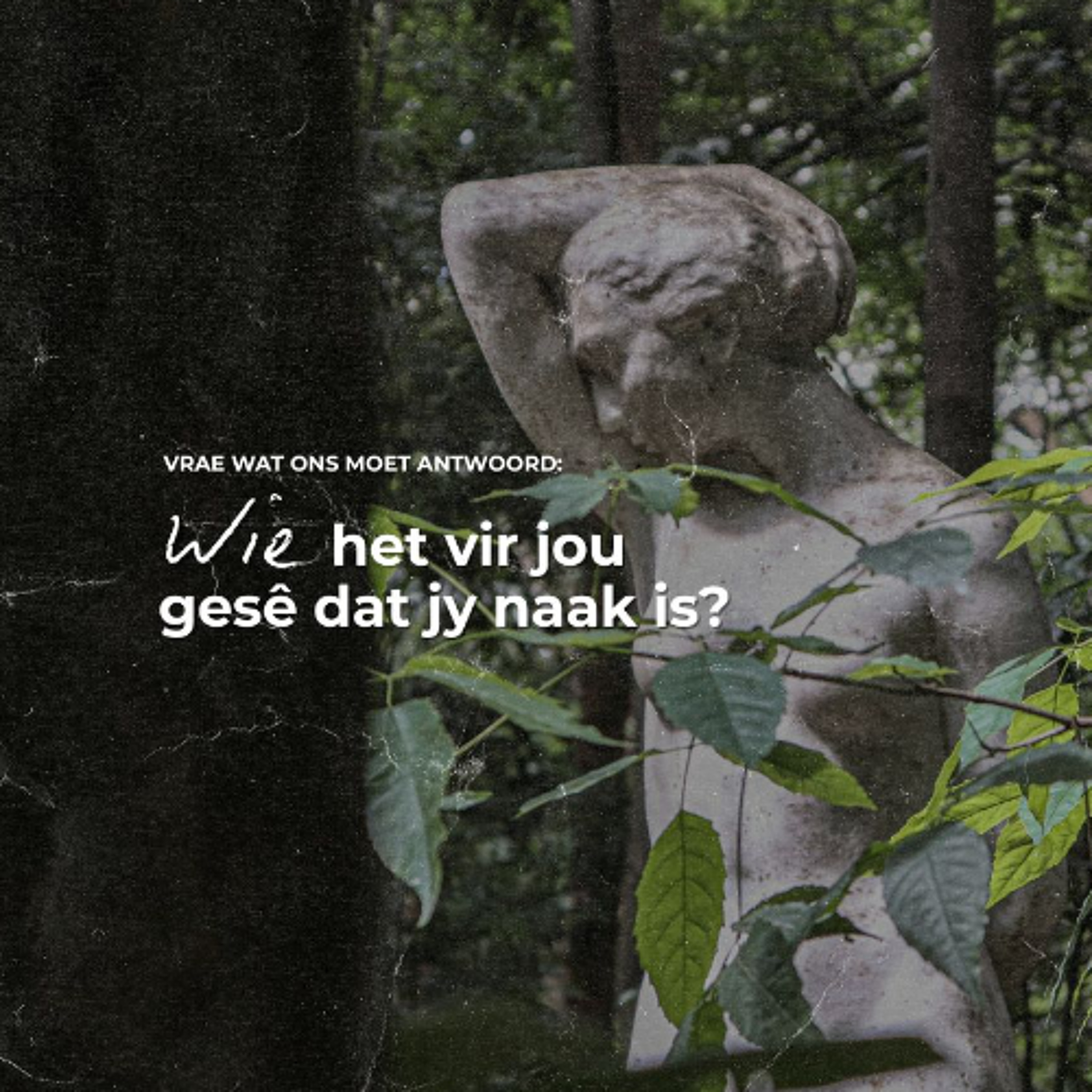 Wie het vir jou gesê dat jy naak is? deur Theo Geyser