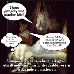 8. Sömn