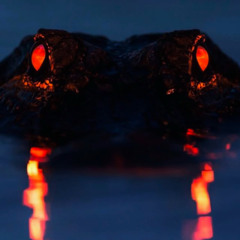 redeyes