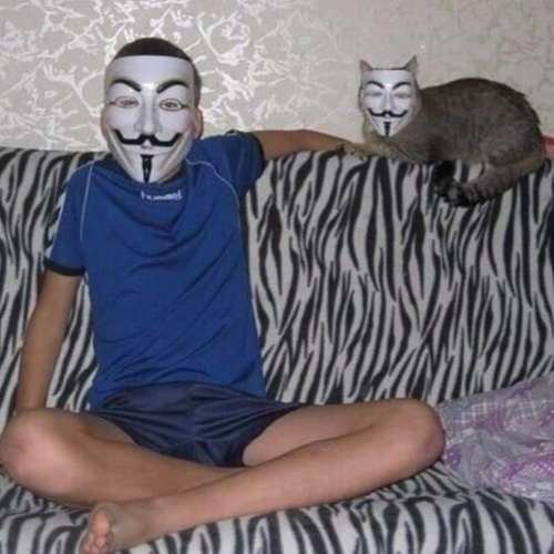 tèo