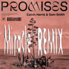 Calvin Harris,Sam Smith - Promises (Miracle Remix)