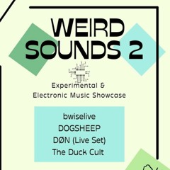 DØN Live @ Weird Sounds 2