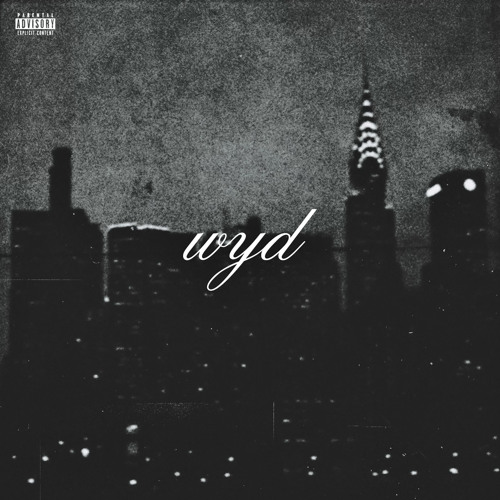 W.Y.D? (What Is We Doing)