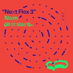 NEXT FLEX 3 by Nam