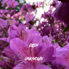 unknown By Dash
