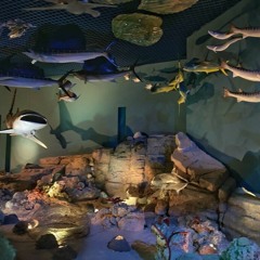 Episode 3 - Sharjah Natural History Museum (13.3.24)