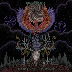 Dying To Be Reborn