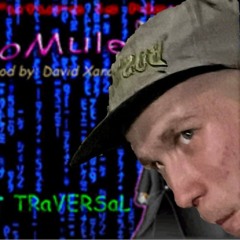Vitalik Has No e, end He Must Mule